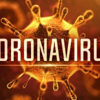 Rassegna stampa sul Coronavirus