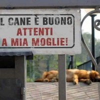 Perché alcuni uomini hanno un cane e non una moglie?