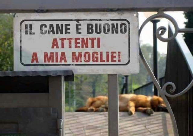 Perché alcuni uomini hanno un cane e non una moglie?